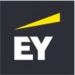 Ernst & Young Ltd