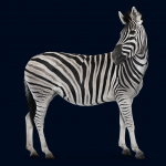 Investec Bank (Mauritius) Limited